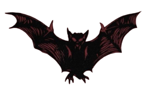bat