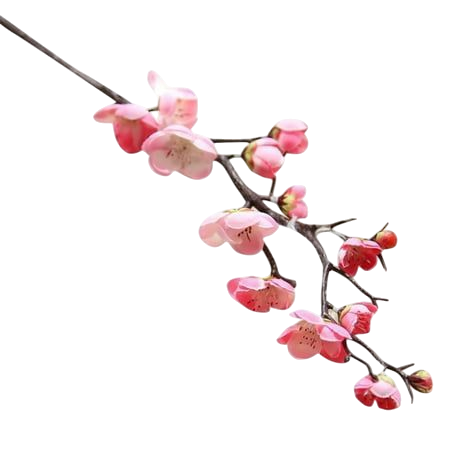 pinkflowers